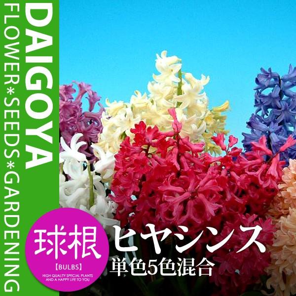 qVX Ԓd܋l PF5Fyz5i14cmj_qVX_qAVX_HA_