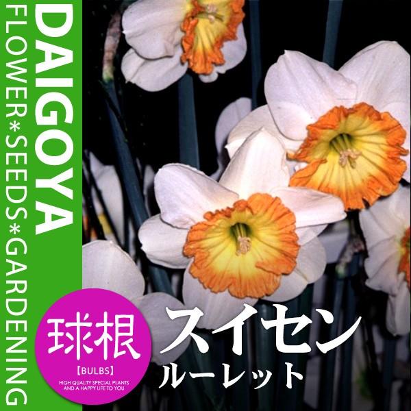 XCZij X^_[h t炫 [bg / yz3܋l_XCZ__HA_