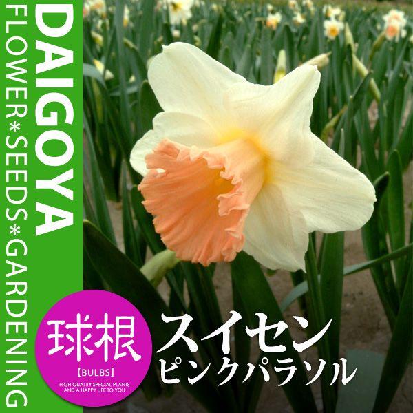 XCZij X^_[h bp炫 sNp\iEjyz2܋l_XCZ__HA_