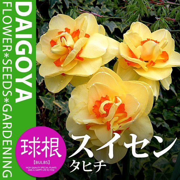 XCZij ς炫id炫j ^q`iEԁjyz3܋l_XCZ__HA_