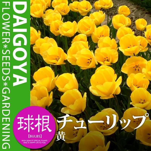 `[bv p܁i胉xjij10cmyz10_HA_