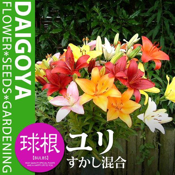  AWAeBbN~bNX i3퍬jyz3܋l XJV