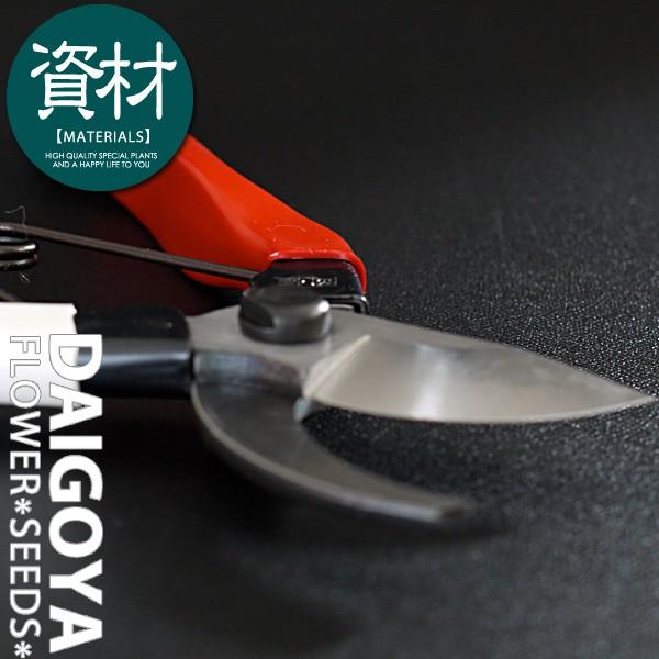 yvdl̃nT~zPiIJcljEiĂ΂݁j S180mmd180g