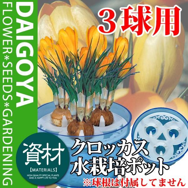 カラー:透明ブルー サイズ:φ117mm×H70mm 備考:球根は付属しておりません。