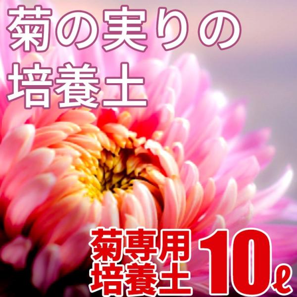 e̎̔|{y 10L 勽IWiuh|{y A̓y