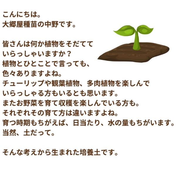 多肉植物 サボテンの実りの培養土 10l 大郷屋オリジナルブレンド培養土 植物の土 Buyee Buyee Japanese Proxy Service Buy From Japan Bot Online