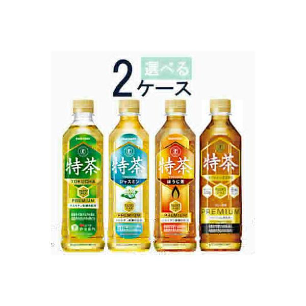 サントリー - 特茶24本入り　2ケース 特茶 伊右衛門 選べる2ケースセット サントリー 500ml ペット