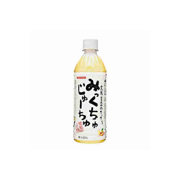 他サイト： みっくちゅじゅーちゅ サンガリア 500ml ペット 24本入の商品画像
