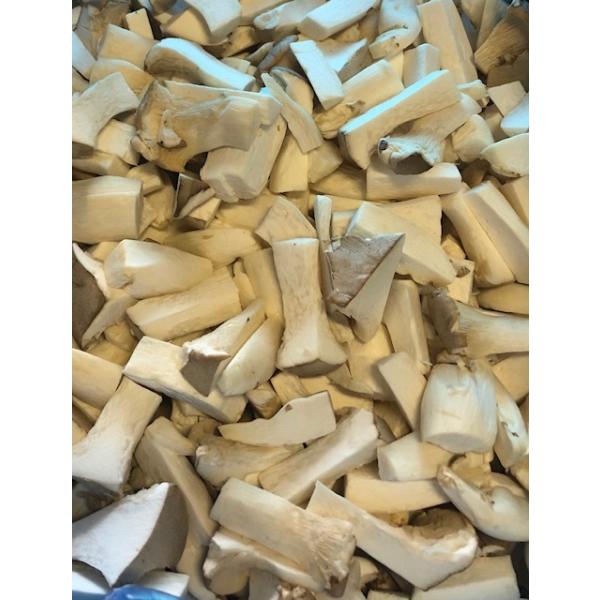 YNGMJbgقPOKo/P[X Ɩp ʂ̂ql}@s