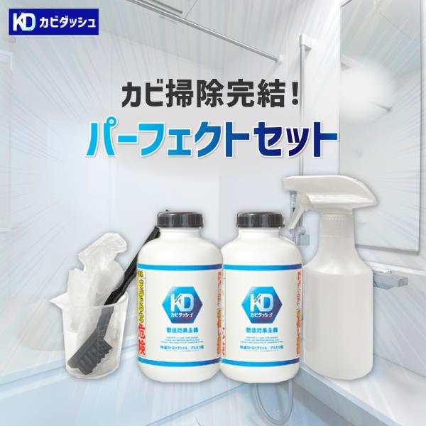 カビダッシュ パーフェクトセット 特濃ストロングジェル 500ml2本 空スプレーボトル1本+手袋4枚 2組 カビ カビ取り ジェル 除菌剤 抗菌 お風呂 浴室 リベルタ