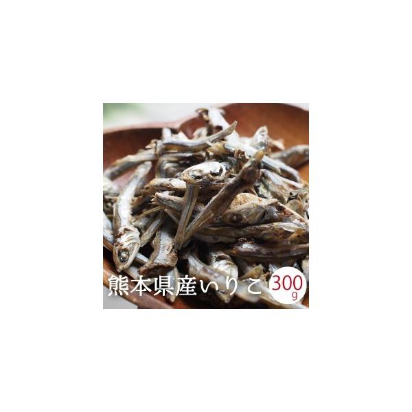 Hׂ邢肱 Y 300g F{VY ϊ 肱 Hׂϊ  o`p N ܂݁@A@󂠂