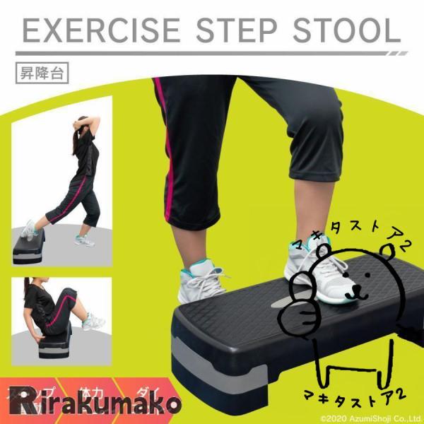 THE STEP エクササイズ用ミニステップ台 昇降台 トレーニング WEIMALL ステップ台 エクササイズ エアロビクス 踏み台昇降運動
