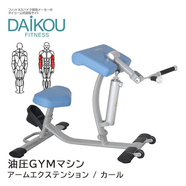 在庫あり 油圧マシン DAIKOU アームエクステンション/カール  施設利用可 メーカー保証1年 準業務用 トレーニングマシン 二の腕 たるみ解消 リハビリ DK-678