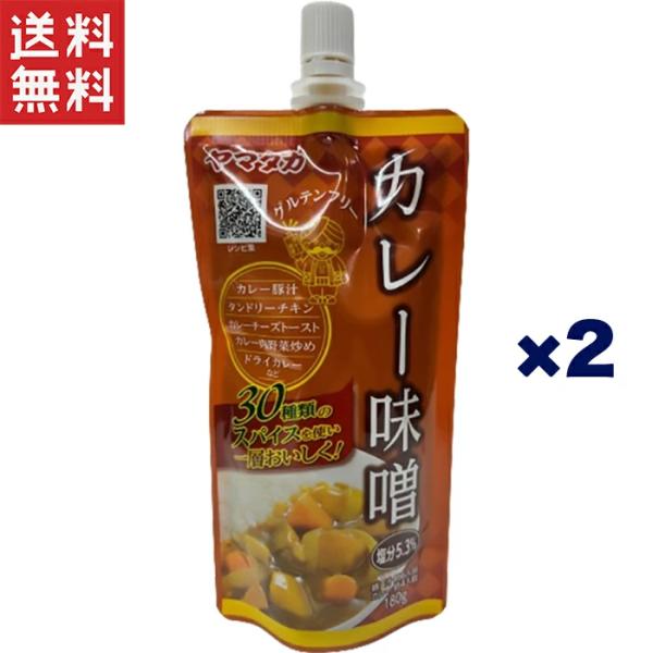 山高味噌 ヤマタカ カレー味噌 180g×2個セット 賞味期限2027年2月9日 1,000円ポッキリ 送料無料