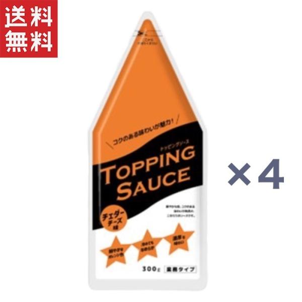 トッピングソース　チェダーチーズ味見た目や味わいのアクセントとして様々なメニューにご活用いただけるチェダーチーズの風味豊かなチーズソースです。● 食品添加物：増粘剤（加工でん粉）、調味料（アミノ酸等）、酸味料、乳化剤、着色料（カロチノイド）、香料