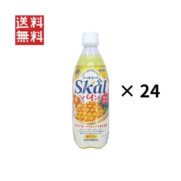 南日本酪農協同 スコール パイン 500mlペットボトル×24本入 賞味期限 2026年10月26日