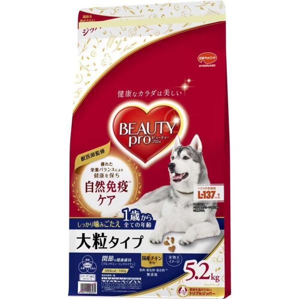日本ペットフード ビューティープロ ドッグ 大粒タイプ 1歳から 5.2kg