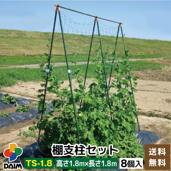 ゴーヤ 支柱の人気商品 通販 価格比較 価格 Com