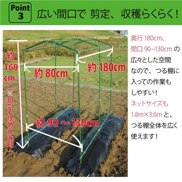 Daim 空中栽培 つる棚セット 1セット入 家庭菜園 キュウリ ゴーヤ エンドウ 小玉スイカ 小型カボチャ 空中栽培 園芸 野菜作り Buyee Servicio De Proxy Japones Buyee Compra En Japon