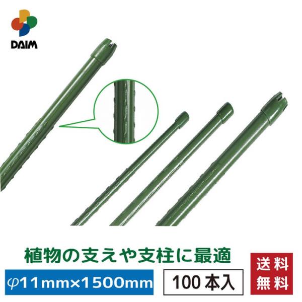 Dam竹 DAIM daim すくすく竹 イボ付 100本入 直径11mm×1500mm 園芸
