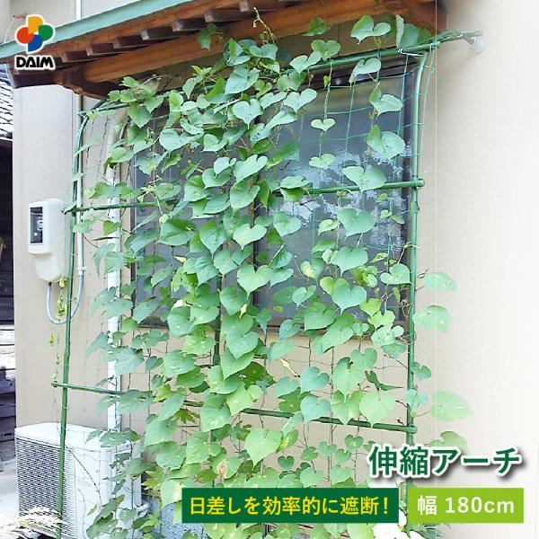 朝顔すだれ　みどりのカーテン 楽天市場】【9月 P2倍】daim 緑のカーテン 立掛けタイプ 日よけ