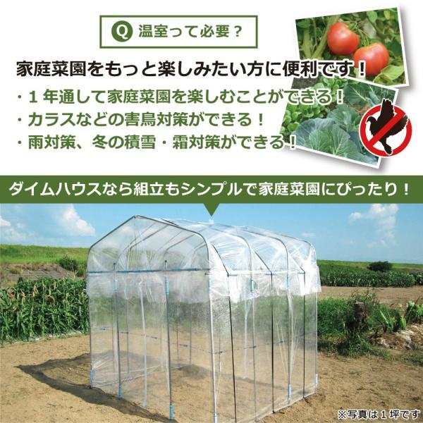 Daim ダイムハウス ファスナータイプ 1坪用 ビニールハウス Diy 小型 家庭用 家庭菜園 雨よけ 風よけ 保温 ミニハウス 菜園ハウス 花 野菜 栽培 送料無料 Buyee Buyee 提供一站式最全面最專業現地yahoo Japan拍賣代bid代拍代購服務 Bot Online