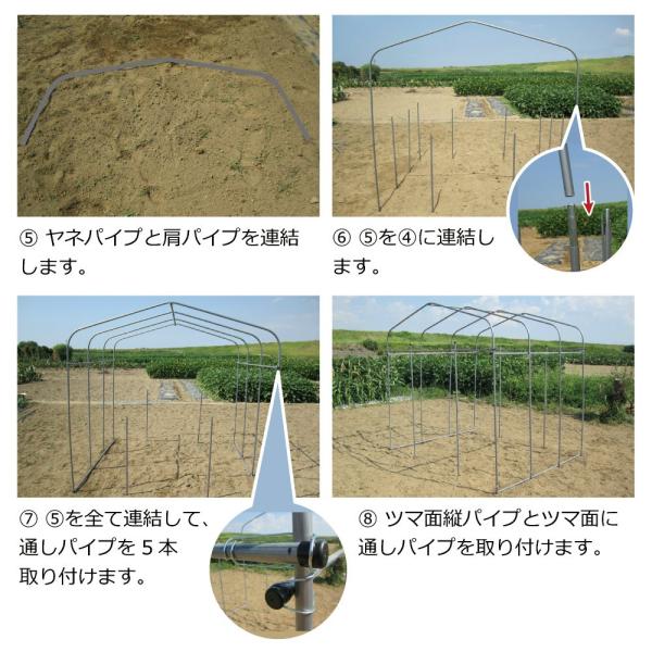 Daim ダイムハウス ファスナータイプ 1坪用 ビニールハウス Diy 小型 家庭用 家庭菜園 雨よけ 風よけ 保温 ミニハウス 菜園ハウス 花 野菜 栽培 送料無料 Buyee Buyee 提供一站式最全面最專業現地yahoo Japan拍賣代bid代拍代購服務 Bot Online