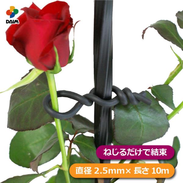 他サイト： daim ローズスタイル バラ用やわらかバンド 直径2.5mm 長さ10m 薔薇 トレリス バラ ばら 誘引 菜園 フェンス 組み立て 支柱 園芸 家庭菜園 第一ビニールの商品画像