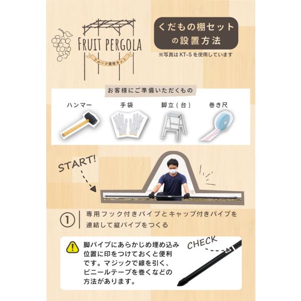 �Ԃǂ��I �p�[�S�� �ʎ��I �L�E�C�I KT-M120 �K�[�f���A�[�` diy �������̒I�Z�b�g daim ���r�j�[�� ���i�摜5