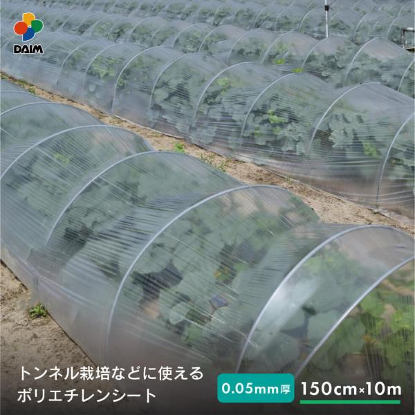 レッド系 オークラ(大倉) 透明 一般用農ポリ 0.05mm X 230cm X 100m 2本入 (ライン有) 通販 オークラ 一般農ポリ 厚み0.03mm×幅270cm×長さ100m (北海道・沖縄・離島発送不可)