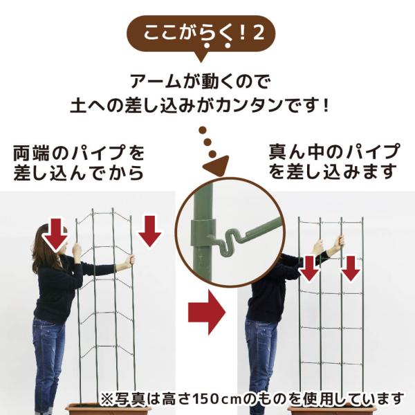 ��ؒI �I ����120cm �x���I �g�}�g �L���E�� �S�[�� �鐫�A�� ���� �x�� �炭���� daim ���r�j�[�� ���i�摜2