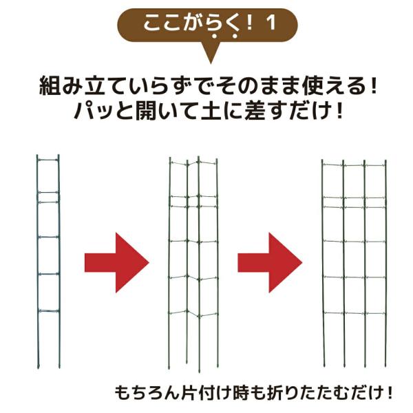 ��ؒI �I ����120cm +�p�������Z�b�g1�� �x���I �g�}�g �L���E�� �S�[�� �鐫�A�� ���� �x�� �炭���� daim ���r�j�[�� ���i�摜2