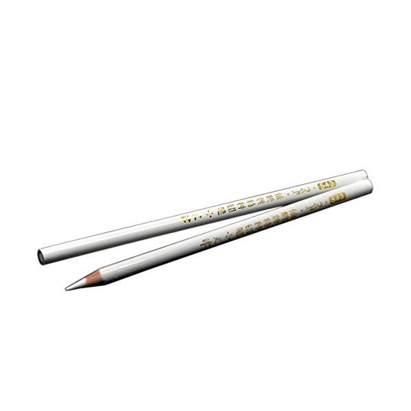 Housweetyネイルアート用ペン 10本セット ネイルデザイン ジェルネイル ネイル用品 国際ブランド 筆 白い 鉛筆