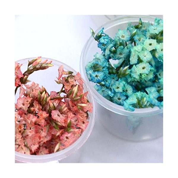 Innail 押し花 ドライフラワー 驚きの価格が実現 4ボックスセット 3dネイル Diyデコレーション飾り用品 レジンデコレーション セット4