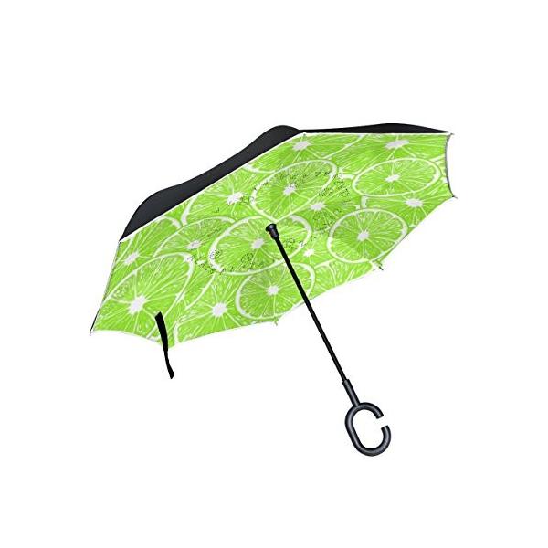 ポーチ すごい 全く 傘 面白い Moddlab Jp