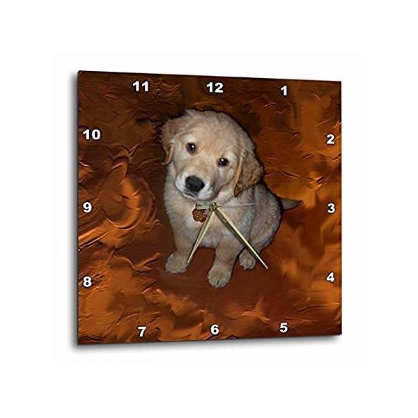 ヤマモトヨーコ　トイレシリーズ　ゴールデンレトリバー　壁掛け ヤマモトヨーコ トイレシリーズ ゴールデンレトリバー 壁掛け