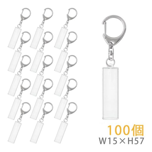 ハメパチ キーホルダー スティック スリム型 100個入り 手作り オリジナルキーホルダー 記念品 粗品 日本製 大王製作所
