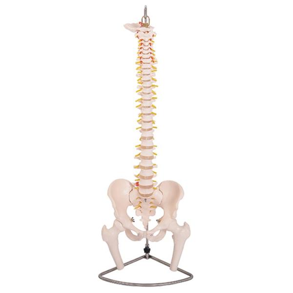 ҒōՖ͌^(Ҋ֐ߕt)GX-126 ̐l͌^ 90cm KCRc  JK-3250Y