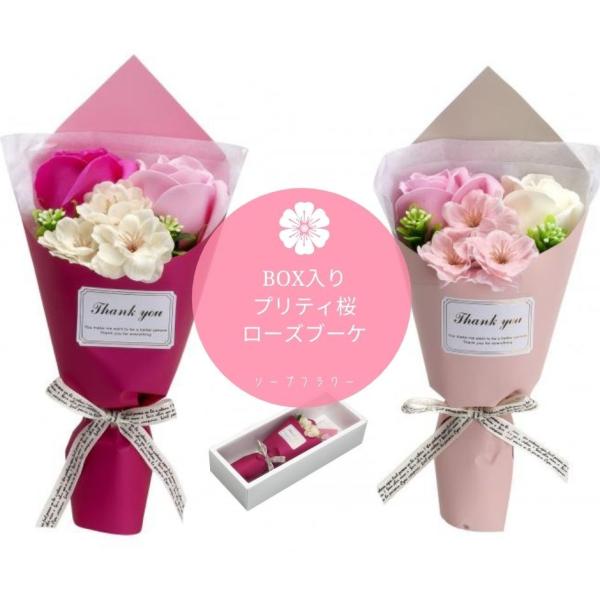 w IׂJ[ \[vt[@V{@BOX @veB[Yu[P xy̓lCMtgz