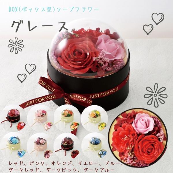 BOX({bNX^)@\[vt[yO[X@BOXzWJ[y̓lCMtgz