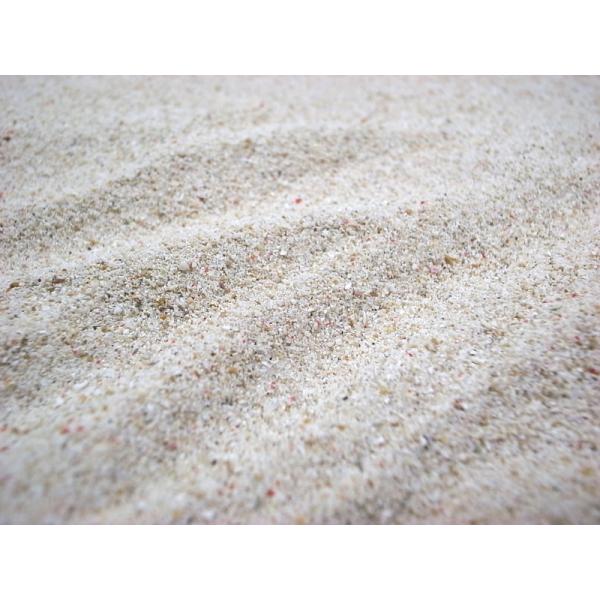 天然海水水槽用の底砂 未洗浄 サンゴ砂 パウダー ０ 20ｋｇ 海水魚飼育に適した底床用サンゴ砂 レビューを書いて送料無料 Buyee Buyee Japanese Proxy Service Buy From Japan Bot Online
