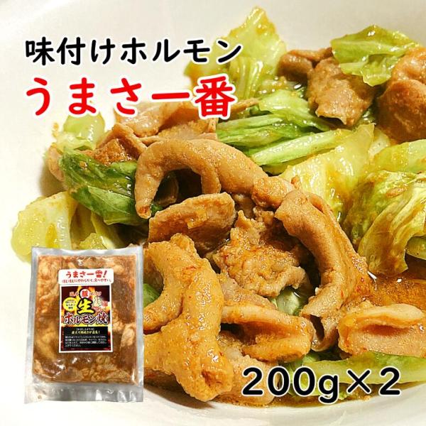 ホルモン 栃木県産キング生ホルモン塩味 1kg（500g×2） / 栃木県さくら市