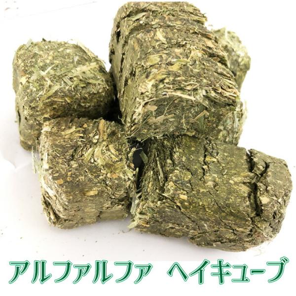 アメリカ産 アルファルファ ヘイキューブ 約30kg(1個あたり：約