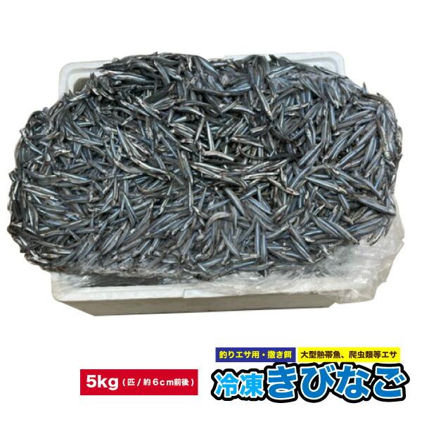 冷凍 釣りエサ 大型熱帯魚・爬虫類エサ 冷凍きびなご【5kg】(1匹：約
