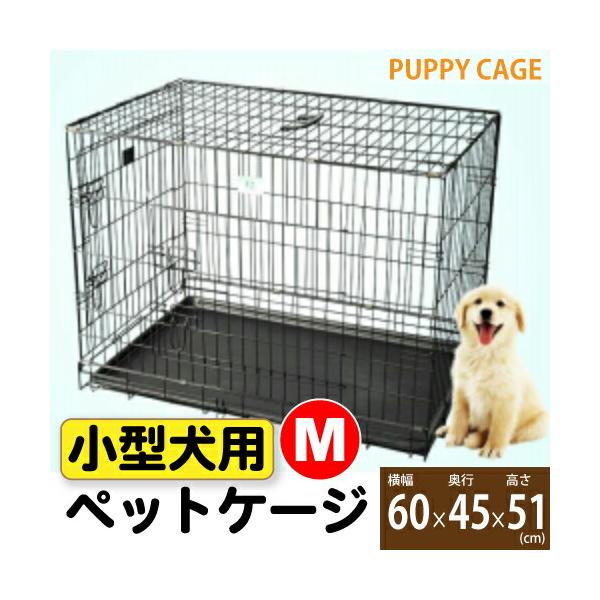 daishin-bussan2_db-cage-m