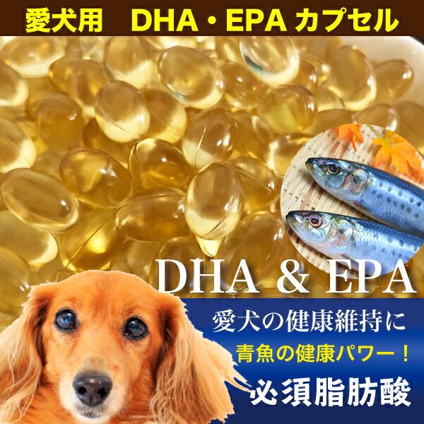 ペット用 犬 Dha Epa カプセル 65g 約100粒程度 Dha Epa サプリ 犬 サプリメント オメガ3 必須脂肪酸 アレルギー 健康 魚油 血液サラサラ Z Db Dha Capsule65g エスポワールyahoo 店 通販 Yahoo ショッピング