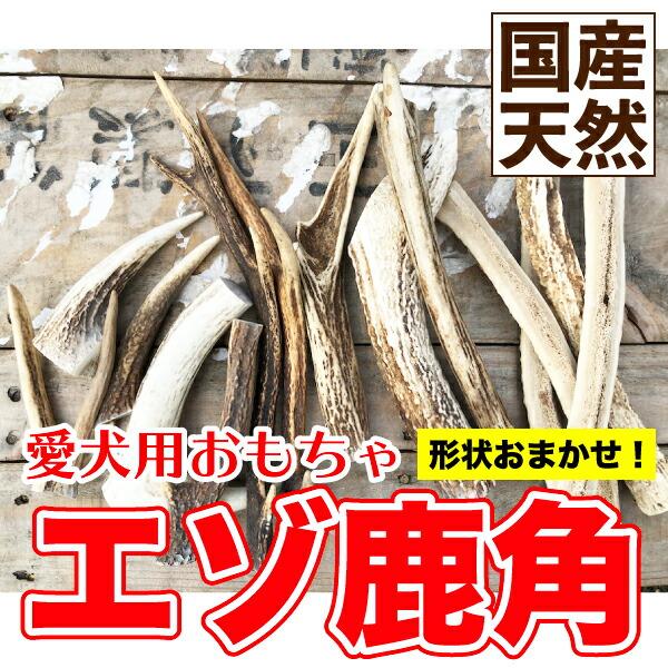 メール便送料無料 犬【形状おまかせ】国産 天然 鹿角(エゾ鹿) 1本 