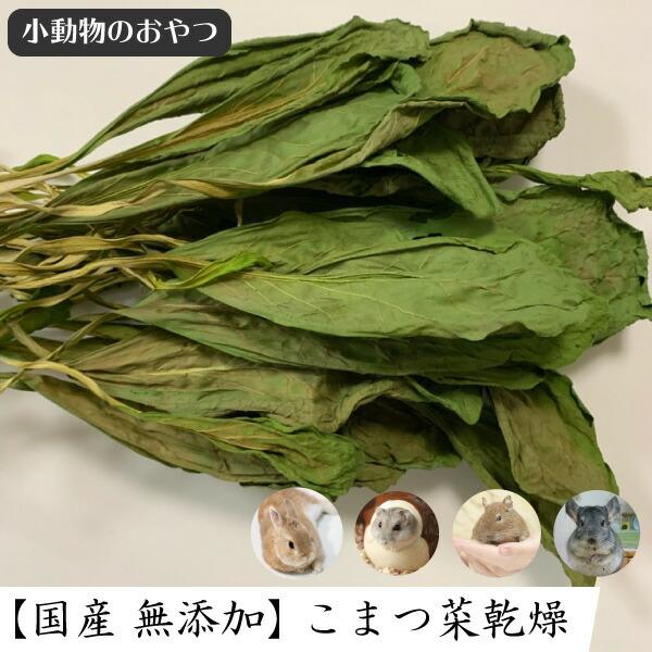 小動物のおやつ 国産 無添加 こまつ菜 乾燥 20g 乾燥野菜 小松菜