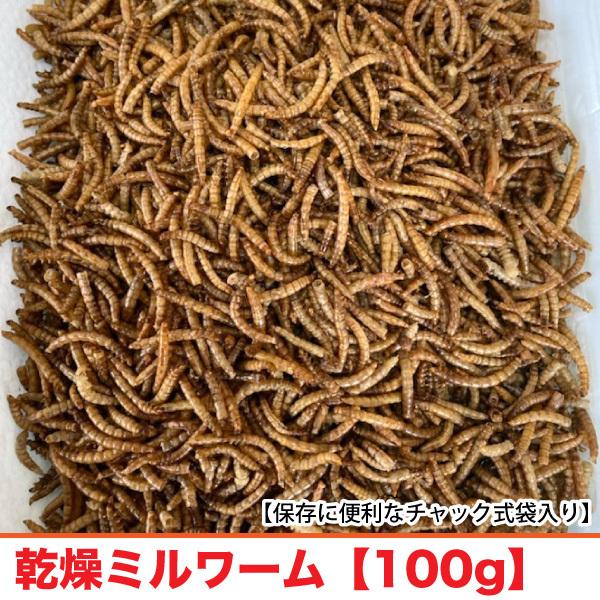 乾燥ミルワーム 【100g】 ミルワーム 嗜好性の高い高たんぱくフード