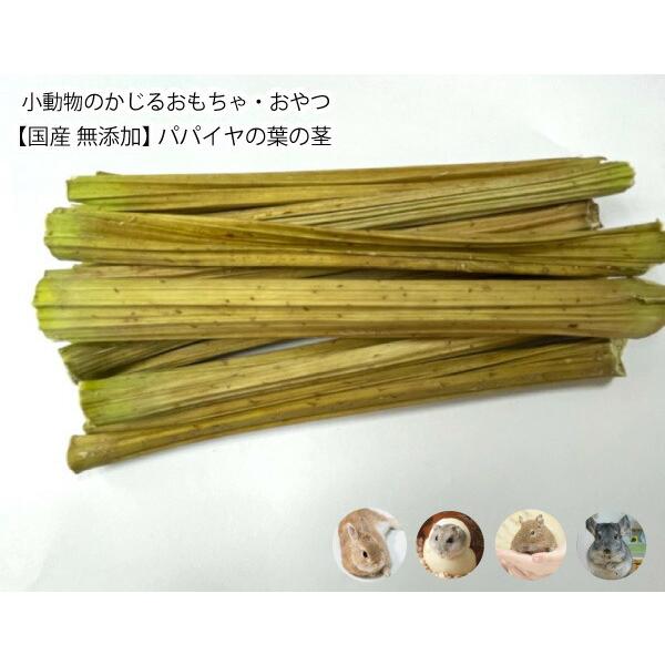 ぷぴ　700g×２　600g+おまけ100g　パパイヤ茎と実 ぷぴ 700g×2 600g+おまけ100g パパイヤ茎と実 ぷぴ様専用 700g×